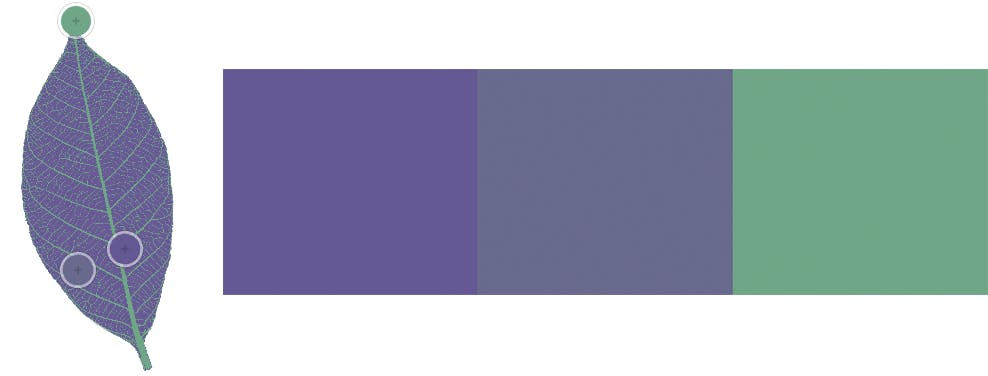 grape purple, dull purple, green grape purple, dull purple, green